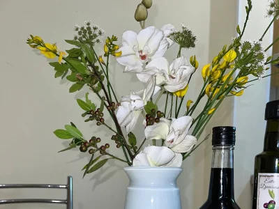 Apartment Studio flat with air-conditioning Veli Rat, Dugi otok AS-436-b - Outdoor photo 10