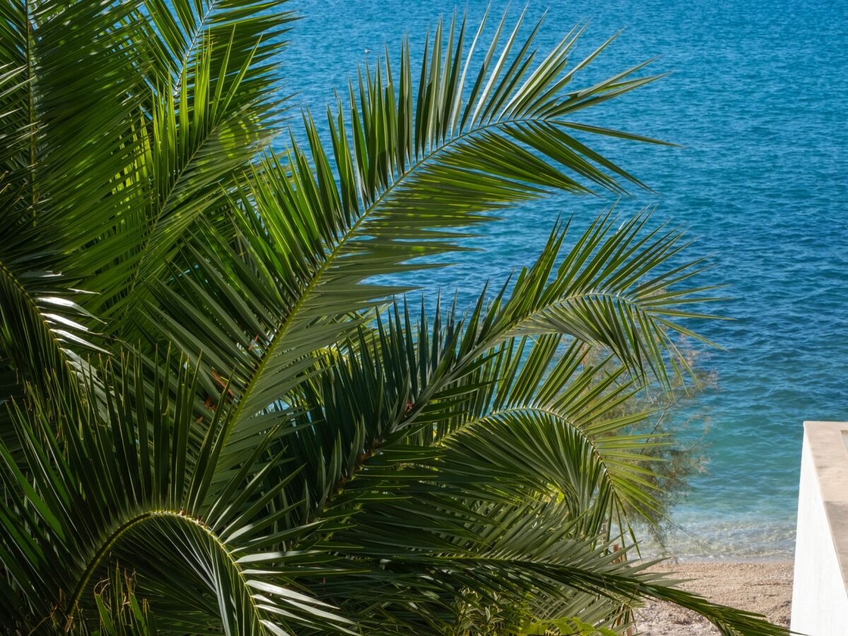 Apartment Two bedroom apartment near beach Podstrana, Split A-14993-a - Outdoor photo 4