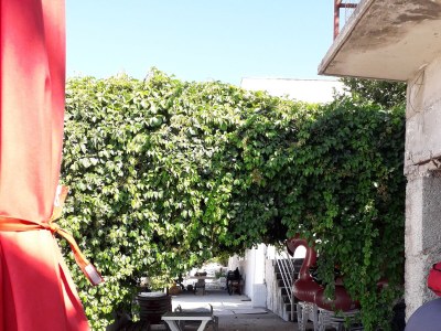 Apartment Two bedroom apartment near beach Podstrana, Split A-14993-a - Outdoor photo 7