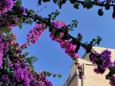 Apartment Two bedroom apartment near beach Podstrana, Split A-14993-a - Outdoor photo 8