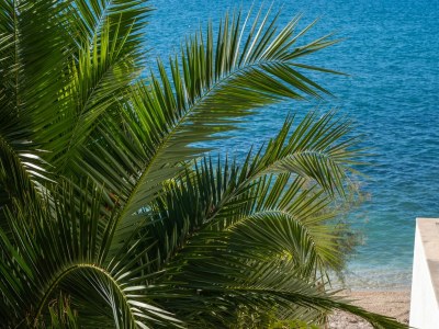 Apartment Two bedroom apartment near beach Podstrana, Split A-14993-b - Outdoor photo 4