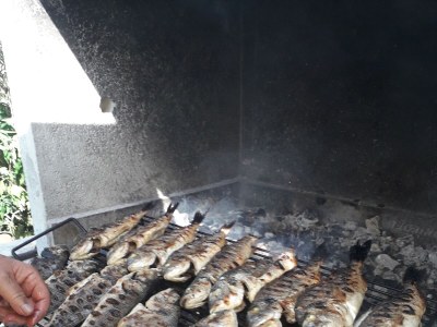 Apartment Two bedroom apartment near beach Podstrana, Split A-14993-b - Outdoor photo 6