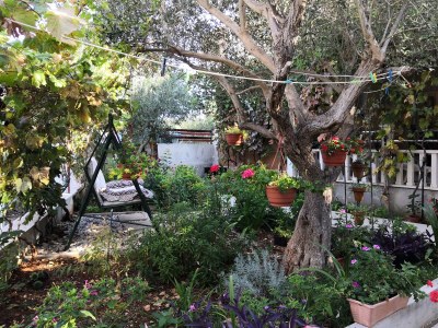 Apartment One bedroom apartment with terrace Drvenik Mali, Drvenik A-16787-d - Outdoor photo 8