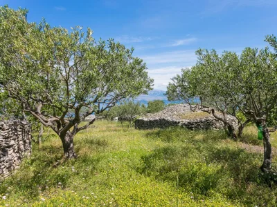 Holiday house One bedroom house with terrace and sea view Supetar, Brač K-17330 - Outdoor photo 10