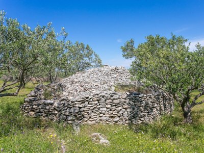 Holiday house One bedroom house with terrace and sea view Supetar, Brač K-17330 - Outdoor photo 12