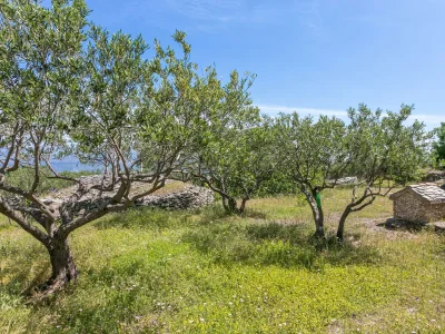 Holiday house One bedroom house with terrace and sea view Supetar, Brač K-17330 - Outdoor photo 16