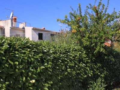 Apartment One bedroom apartment with terrace Valbandon, Fažana A-7304-a - Outdoor photo 25