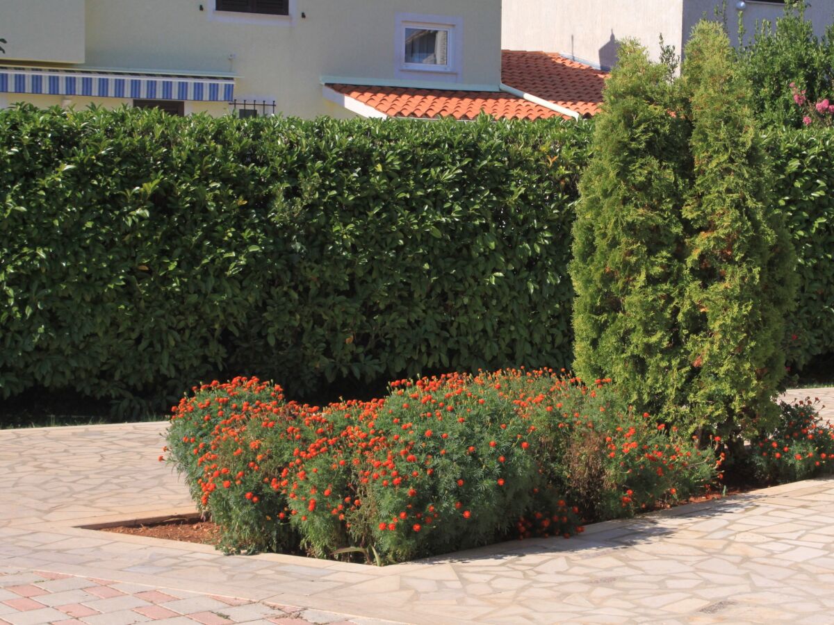 Apartment One bedroom apartment with terrace Valbandon, Fažana A-7304-b - Outdoor photo 2