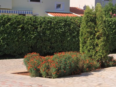 Apartment One bedroom apartment with terrace Valbandon, Fažana A-7304-b - Outdoor photo 2