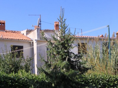 Apartment One bedroom apartment with terrace Valbandon, Fažana A-7304-b - Outdoor photo 11