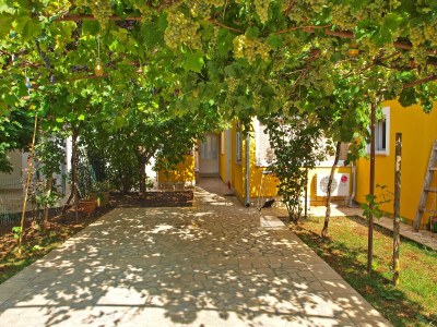 Apartment Three bedroom apartment with terrace Valbandon, Fažana A-19663-b - Outdoor photo 9