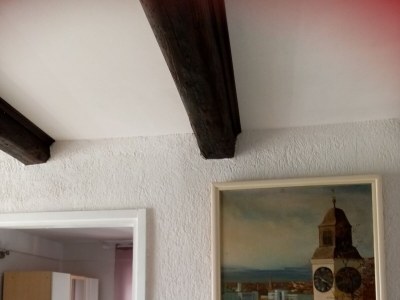 Apartment One bedroom apartment with terrace and sea view Lopar, Rab A-19896-a - Outdoor photo 14