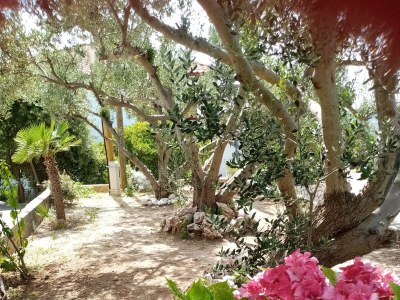 Apartment One bedroom apartment with balcony and sea view Lopar, Rab A-19896-b - Outdoor photo 9