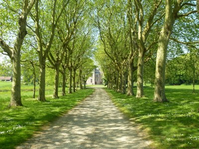 Holiday house Stone House in Sibiril near Sandy Beach - Environment photo 23