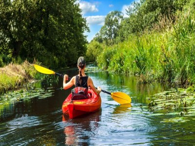 Holiday house Ferienhaus Löwenzahn im Müritz-Nationalpark - Environment photo 35