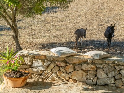 Holiday house Son EsquerrÀ - Country House In Felanitx - Environment photo 38