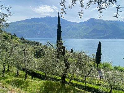 Apartment Villa Gianna in Limone sul Garda - Outdoor photo 2