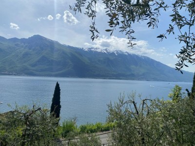 Apartment Villa Gianna in Limone sul Garda - Outdoor photo 4