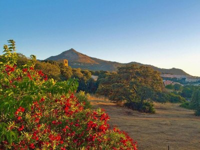 Holiday park Romantic Getaway in L'Île-Rousse - Outdoor photo 5