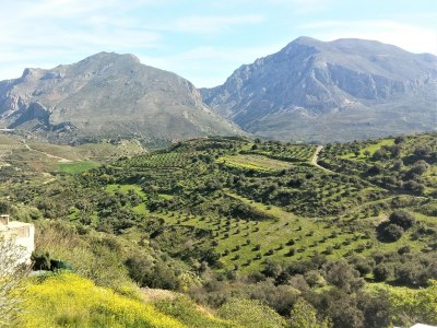 Holiday house Afroditi - Outdoor photo 10