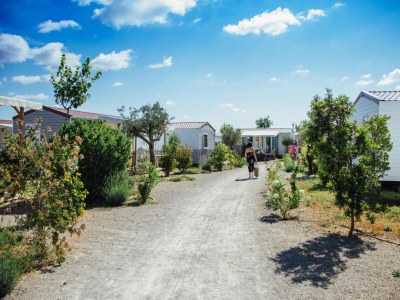 Holiday park Ruhiges Ferienhaus im Wasserpark - Environment photo 16