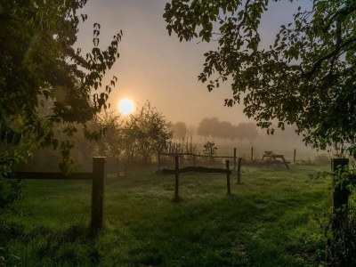 Holiday house Safari-Zelthaus für 8 Personen in Kesteren - Environment photo 8