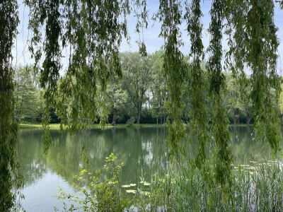 Holiday house Safari-Zelthaus für 8 Personen in Kesteren - Environment photo 9