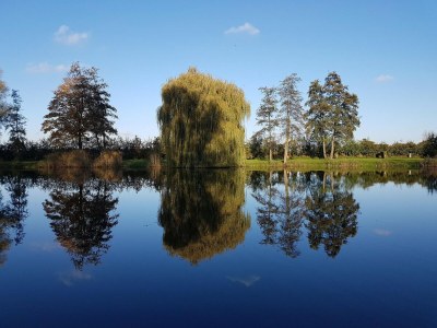 Holiday house Schöne und gemütliche Lodge für Paare - Environment photo 7