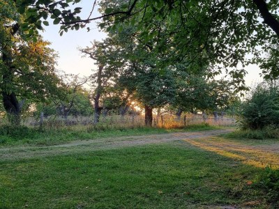 Holiday house Schöne und gemütliche Lodge für Paare - Environment photo 8