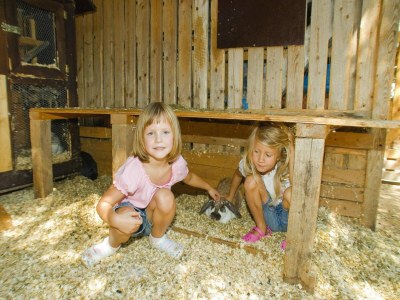 Holiday park Haus-Nr: OSB02010-DYC - Outdoor photo 31