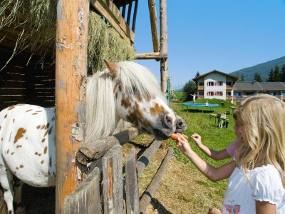 Holiday park Haus-Nr: OSB02010-DYC - Outdoor photo 33