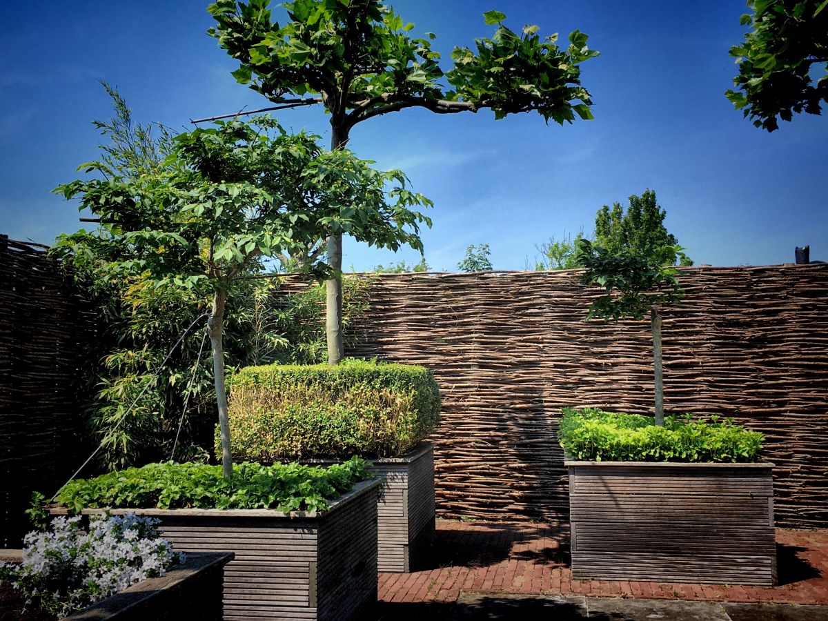 Holiday apartment Schouten - Outdoor photo 3