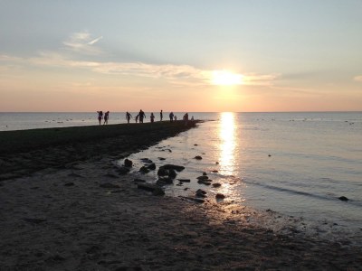 Holiday apartment Schouten - Environment photo 18