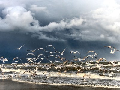 Holiday apartment Schouten - Environment photo 19