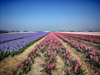 Holiday apartment Schouten - Environment photo 20