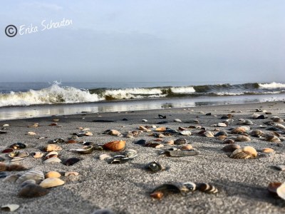 Holiday apartment Schouten - Environment photo 22