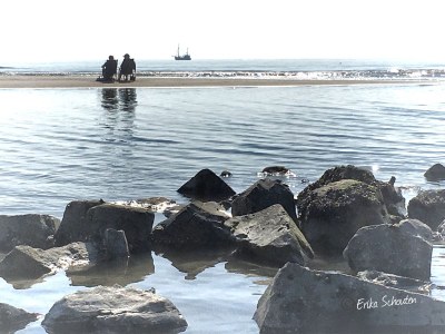 Holiday apartment Schouten - Environment photo 24