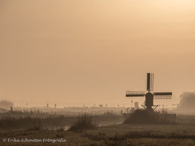 Holiday apartment Schouten - Environment photo 26