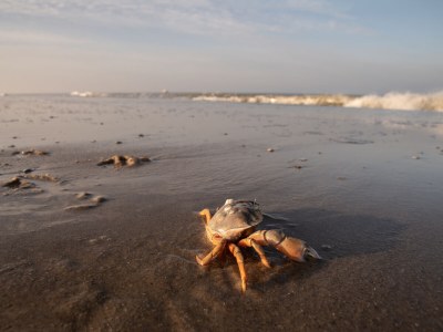 Holiday apartment Schouten - Environment photo 27