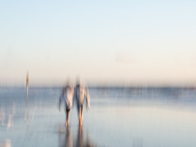 Holiday apartment Schouten - Environment photo 30