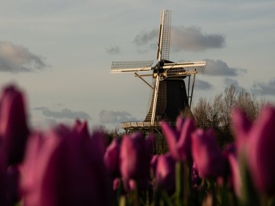 Holiday apartment Schouten - Environment photo 33