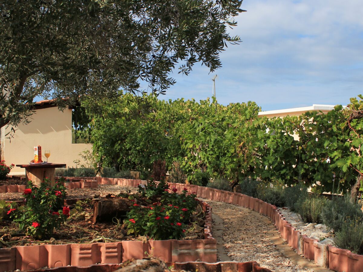 Apartment Two bedroom apartment with terrace and sea view Lukoran, Ugljan A-836-a - Outdoor photo 4