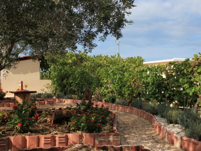 Apartment Two bedroom apartment with terrace and sea view Lukoran, Ugljan A-836-a - Outdoor photo 4