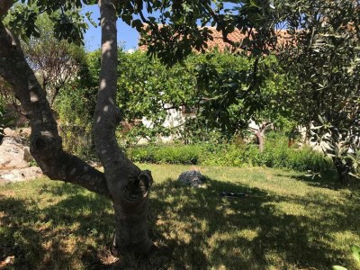 Apartment Two bedroom apartment with terrace and sea view Lukoran, Ugljan A-836-a - Outdoor photo 15