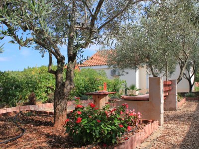 Apartment Two bedroom apartment with terrace Lukoran, Ugljan A-836-c - Outdoor photo 3