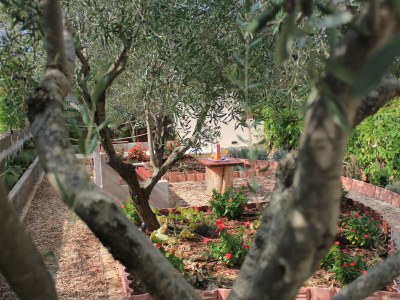 Apartment Two bedroom apartment with terrace Lukoran, Ugljan A-836-c - Outdoor photo 5