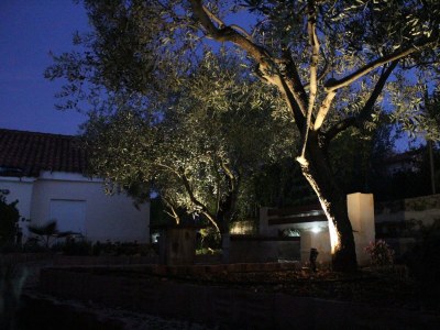 Apartment Two bedroom apartment with terrace Lukoran, Ugljan A-836-c - Outdoor photo 6