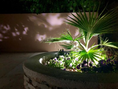 Apartment Two bedroom apartment with terrace Lukoran, Ugljan A-836-c - Outdoor photo 8