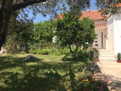 Apartment Two bedroom apartment with terrace Lukoran, Ugljan A-836-c - Outdoor photo 10