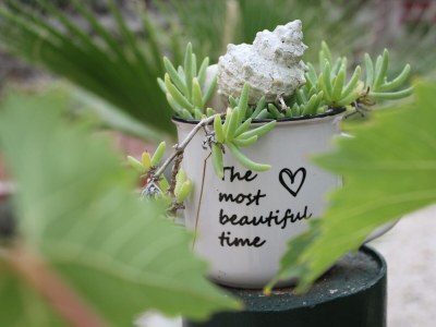 Apartment Two bedroom apartment with terrace Lukoran, Ugljan A-836-c - Outdoor photo 12